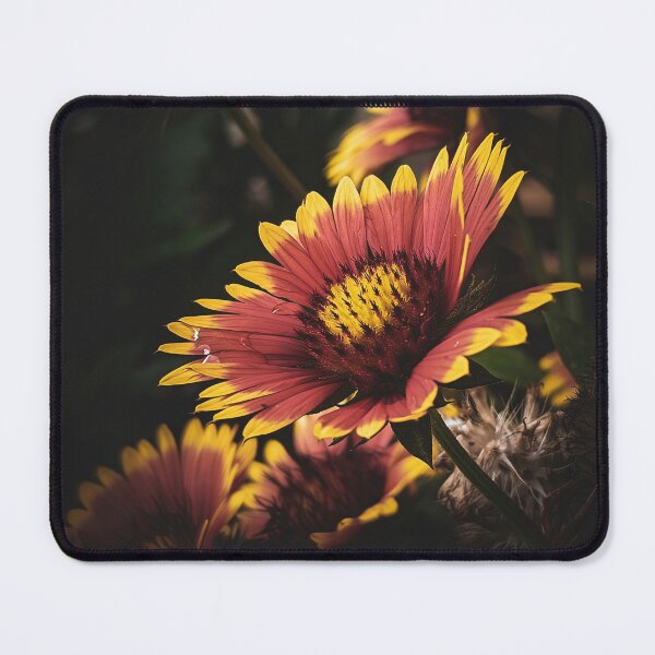 Item preview, Dark Moody Blanket Flower Warm Autumn Botanical Photo designed and sold by Dzulo.