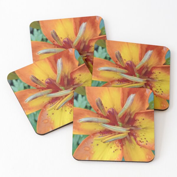Item preview, A lily from my garden, June 2026 designed and sold by RedHillDigital.