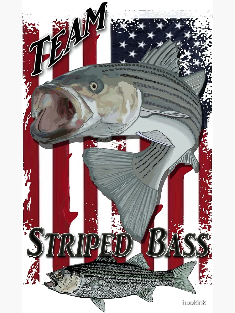 striped bass fishing Poster for Sale by hookink