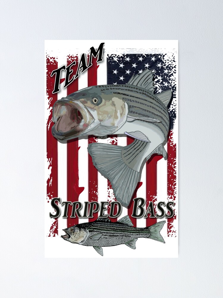 striped bass fishing Poster for Sale by hookink