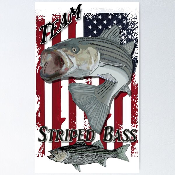 Striped Bass Fish Flag