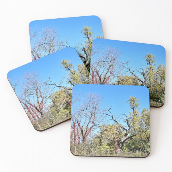 Item preview, Row of Trees Showing Early Autumn Changes designed and sold by Martha Sherman.