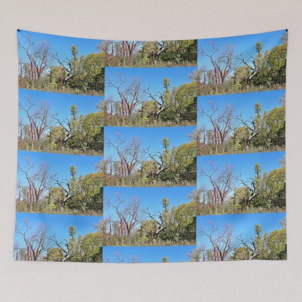 Item preview, Row of Trees Showing Early Autumn Changes designed and sold by Martha Sherman.