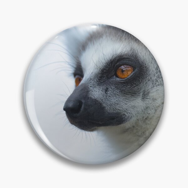 Item preview, Lemur Portrait – Close-up Wildlife Photography designed and sold by RastislavS.