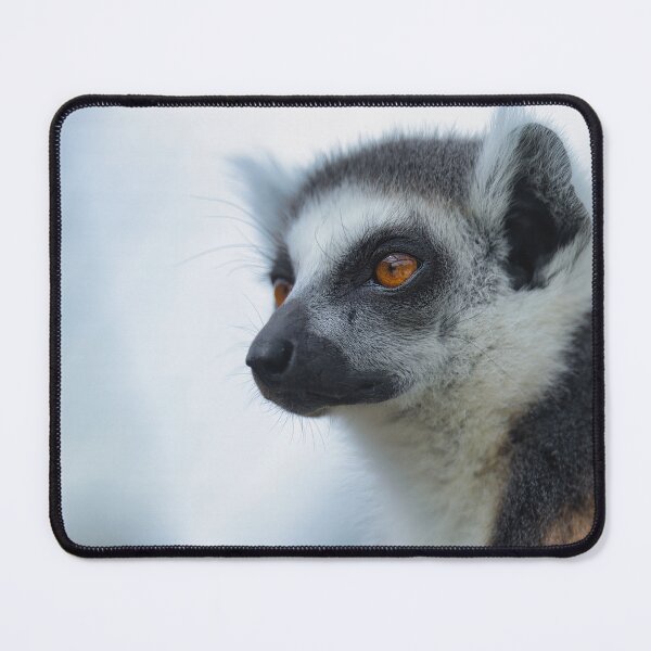 Item preview, Lemur Portrait – Close-up Wildlife Photography designed and sold by RastislavS.