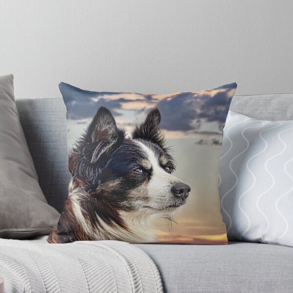 Item preview, Border collie at Cashel Murphy designed and sold by Alex Preiss.