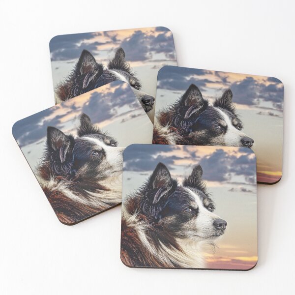 Item preview, Border collie at Cashel Murphy designed and sold by Alex Preiss.