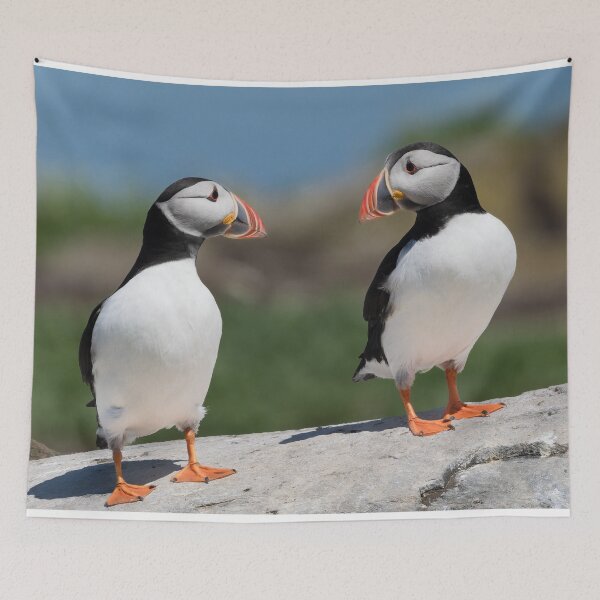 Item preview, Atlantic Puffins on Farne Islands designed and sold by iansmissenphoto.