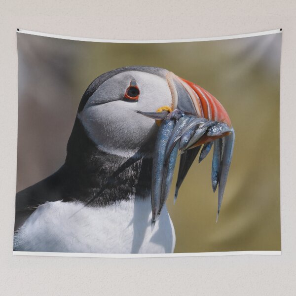 Item preview, Atlantic Puffin with Sand Eels on Farne Islands designed and sold by iansmissenphoto.