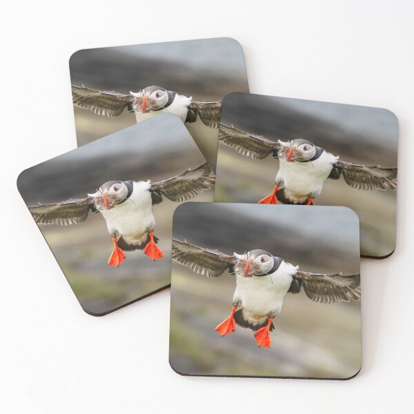 Item preview, Atlantic Puffin, Castle o'Burrian, Orkney designed and sold by iansmissenphoto.