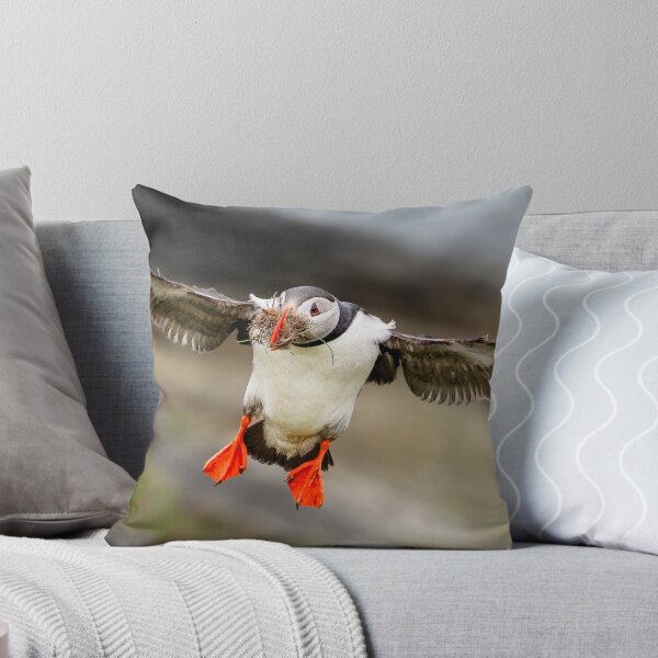 Item preview, Atlantic Puffin, Castle o'Burrian, Orkney designed and sold by iansmissenphoto.