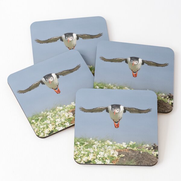 Item preview, Atlantic Puffins, Castle o'Burrian, Orkney designed and sold by iansmissenphoto.