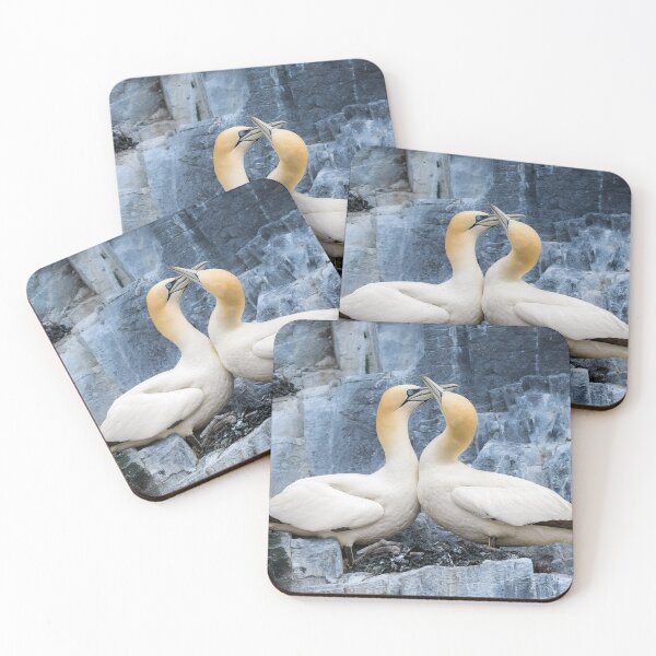 Item preview, Northern Gannet, Bass Rock, Scotland designed and sold by iansmissenphoto.