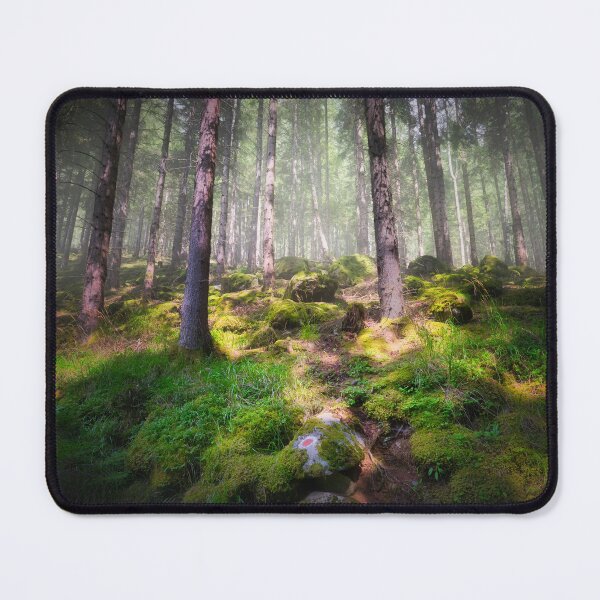 Item preview, Mossy forest trail in Maltatal valley, Austrian Alps designed and sold by RastislavS.