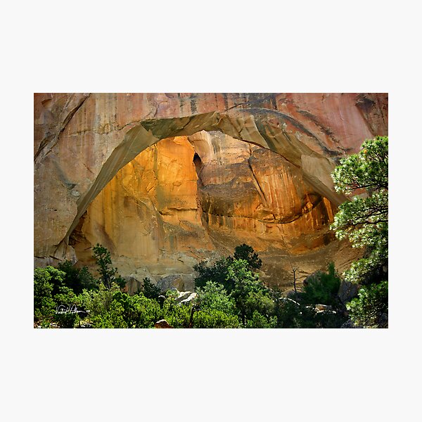 Artikelvorschau, USA. Es ist mir eine Ehre, dieses Foto sowohl in der Happy Haven Photography-Gruppe als auch in der Americas Natural Wonders-Gruppe gezeigt zu haben. Derzeit 316 mal angesehen.
! http: //images-0.redbubble.net/img/art/size: ularge / view: main / 2744037 entworfen und verkauft von Vicki Pelham.