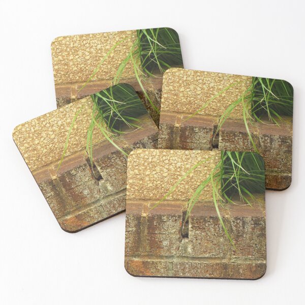Item preview, margin designed and sold by AliceThornePhotography.