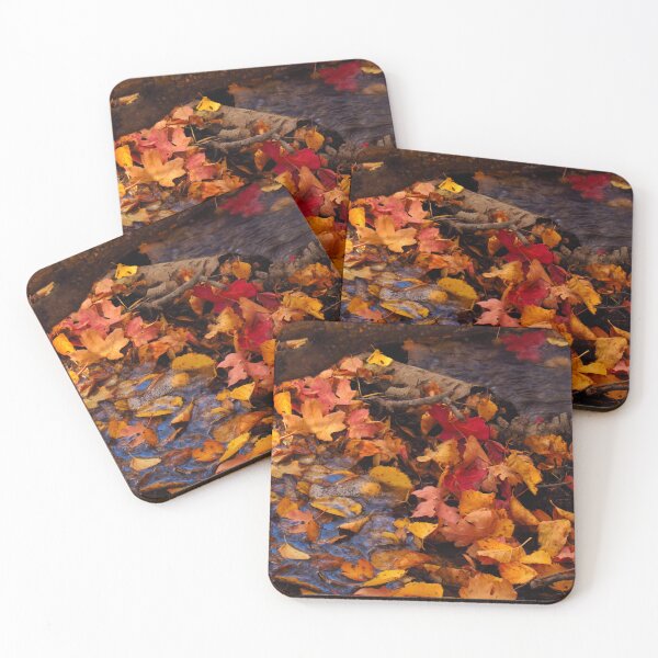 Item preview, brook designed and sold by AliceThornePhotography.