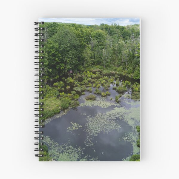 Item preview, Aerial View of Small Duck Pond Surrounded by Lush Summer Forest in Laurentians Quebec designed and sold by celinebisson.
