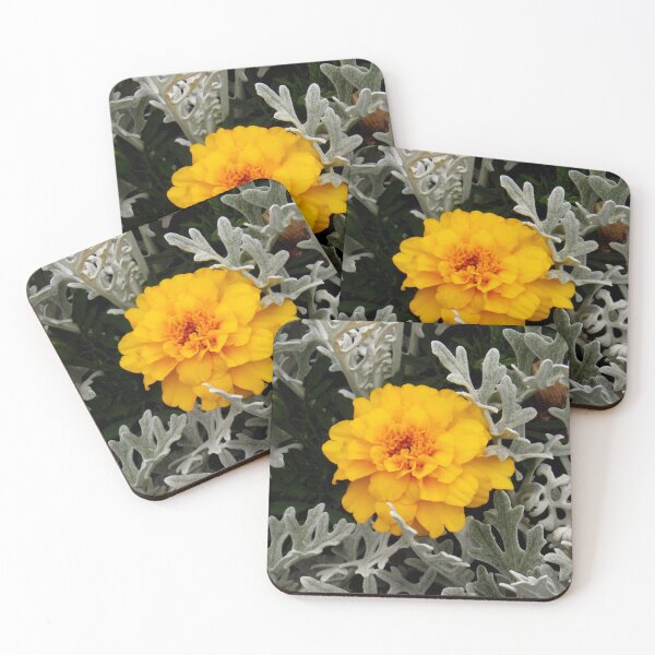 Item preview, morn designed and sold by AliceThornePhotography.