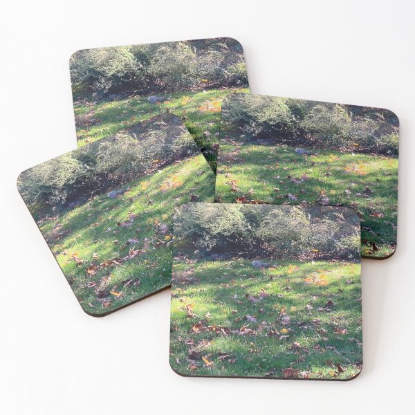 Item preview, Dappled Autumn Light with Squirrel  designed and sold by Amanda1775.