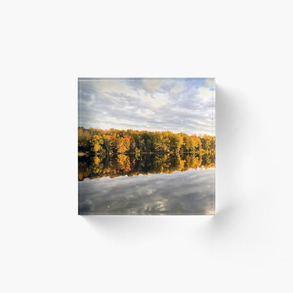 Aperçu de l'œuvre Mirrored Autumn Trees créée et vendue par Eilis McKenna Photo Studio.