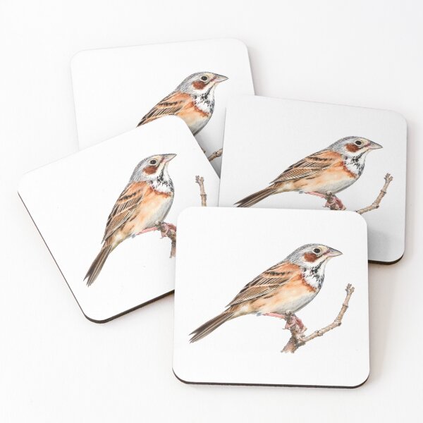 Item preview, Chestnut-eared Bunting (Emberiza fucata) designed and sold by HOMETOWN86.