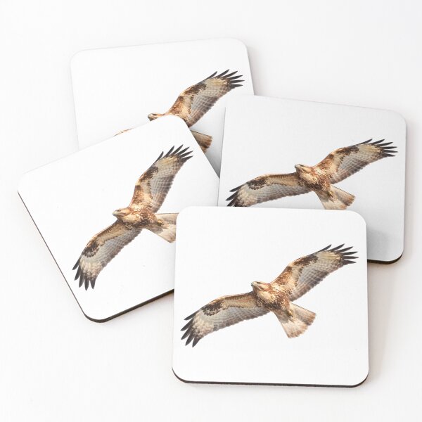 Item preview, Eastern Buzzard (Buteo japonicus) designed and sold by HOMETOWN86.