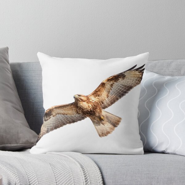 Item preview, Eastern Buzzard (Buteo japonicus) designed and sold by HOMETOWN86.