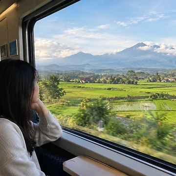 Artwork thumbnail, Peaceful Train Ride Through Rice Fields by Warpono
