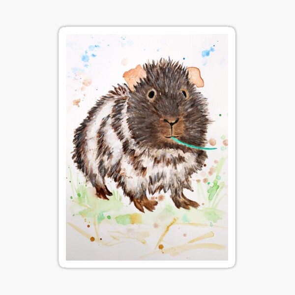 guinea pig Sticker