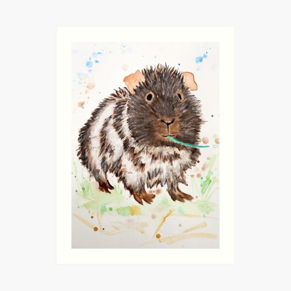 guinea pig Art Print