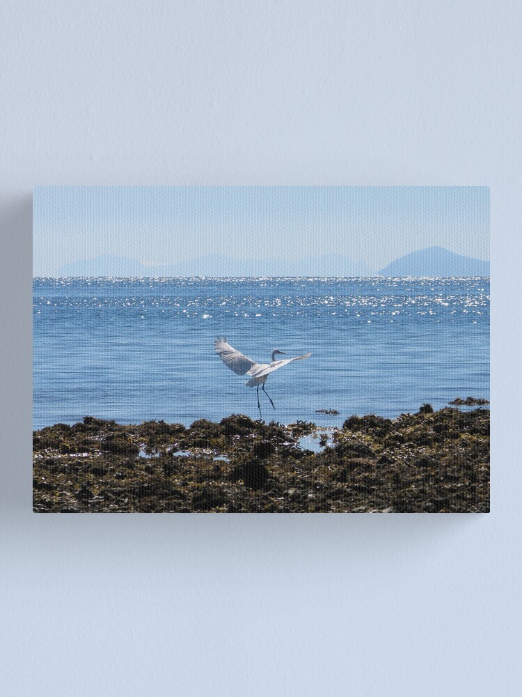 Alternate view of White Lady Canvas Print
