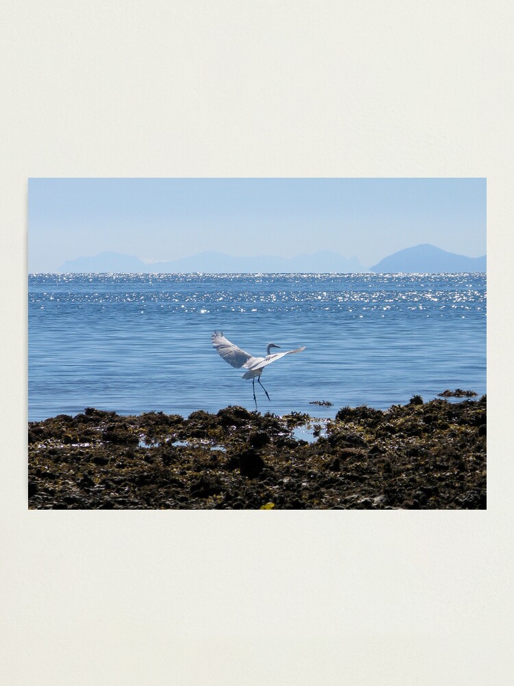 Alternate view of White Lady Photographic Print