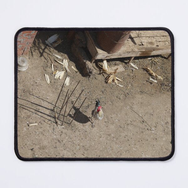 Item preview, Rooster looking at the camera while playing designed and sold by joephotographr.