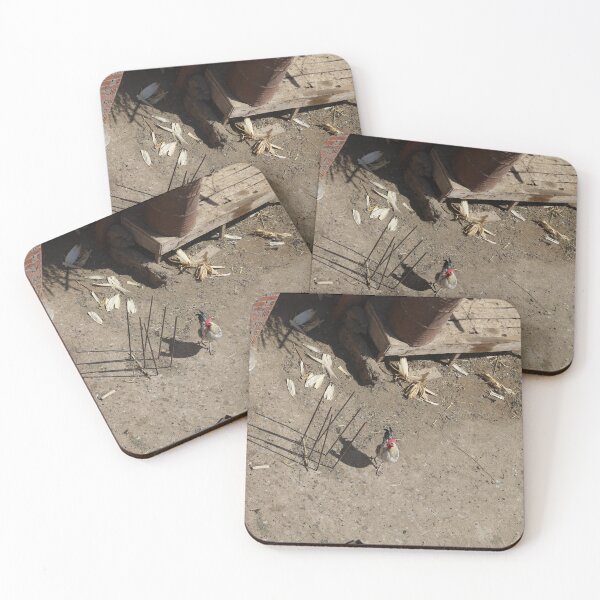 Item preview, Rooster looking at the camera while playing designed and sold by joephotographr.