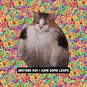 Artwork thumbnail, Loops Brother Kitty by ArtsyPrincess