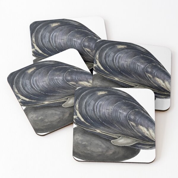 Item preview, Vintage Naturalist Blue Mussel on Dark Rounded River Pebble - Shell Art designed and sold by Catch333.
