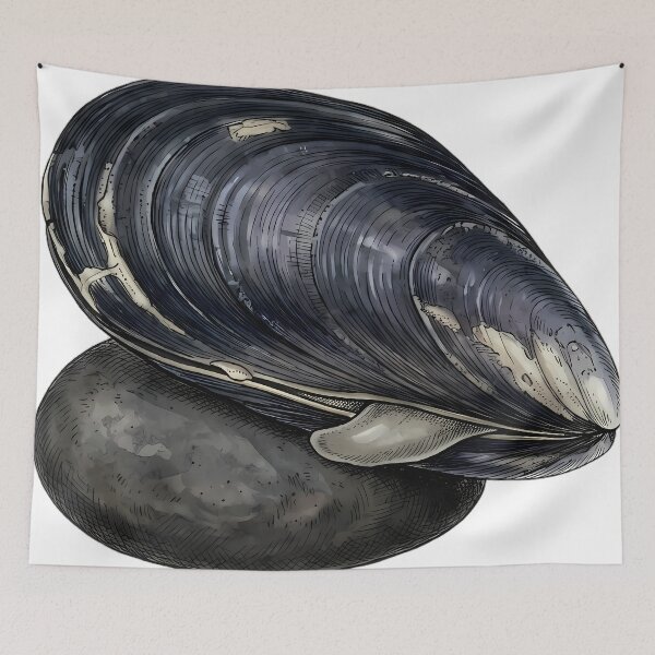 Item preview, Vintage Naturalist Blue Mussel on Dark Rounded River Pebble - Shell Art designed and sold by Catch333.