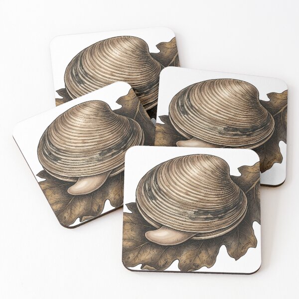 Item preview, Vintage Naturalist Venus Clam on Dried Dark Oak Leaf - Antique Shell Art designed and sold by Catch333.