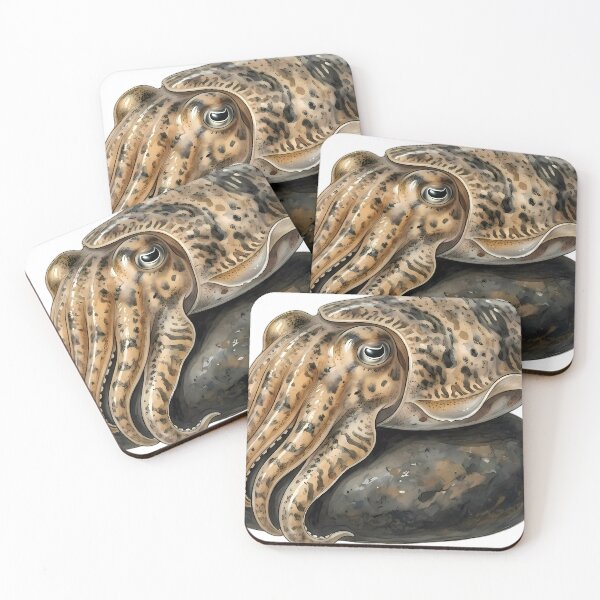 Item preview, Vintage Naturalist Common Cuttlefish on Dark Rounded River Pebble - Sea Art designed and sold by Catch333.