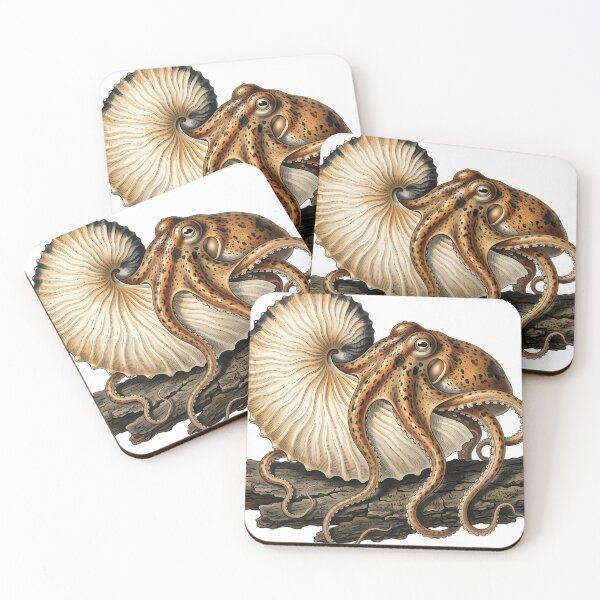 Item preview, Vintage Naturalist Paper Nautilus on Dark Oak Bark - Antique Marine Plate designed and sold by Catch333.