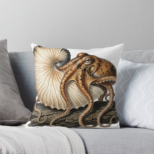Item preview, Vintage Naturalist Paper Nautilus on Dark Oak Bark - Antique Marine Plate designed and sold by Catch333.