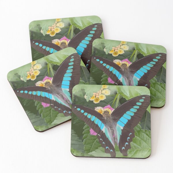 Item preview, Blue Butterfly on Lantana designed and sold by Tokimaru63.