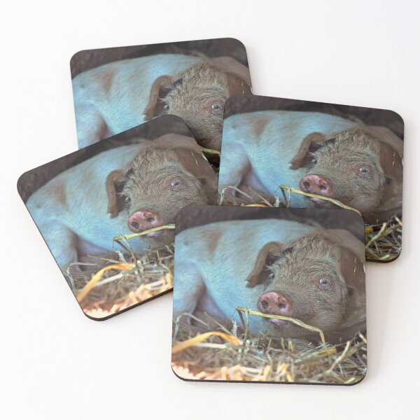 Item preview, Cute Little Piggy designed and sold by Murph's Images.