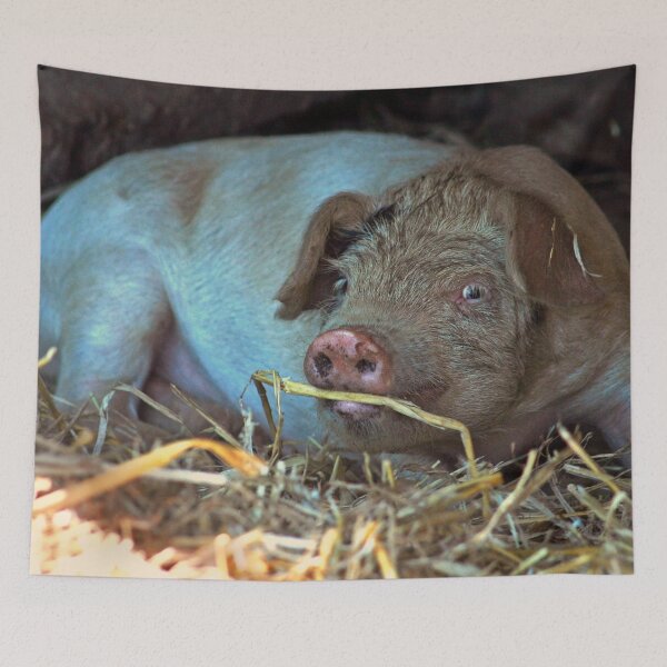 Item preview, Cute Little Piggy designed and sold by Murph's Images.
