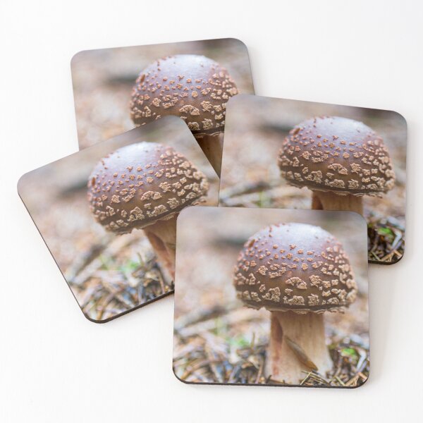 Item preview, Royal Fly Agaric Woodland Mushroom designed and sold by Kasia Design.