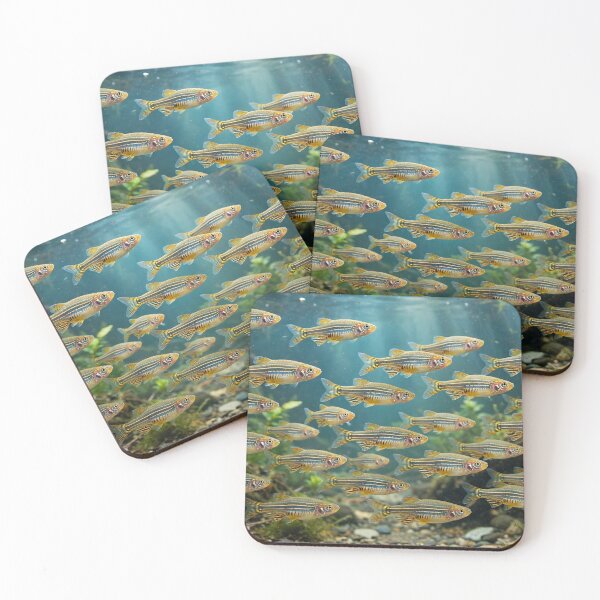 Item preview, Twenty Zebrafish Swimming Together — Striped Fish School Close View designed and sold by Stevercortinas.