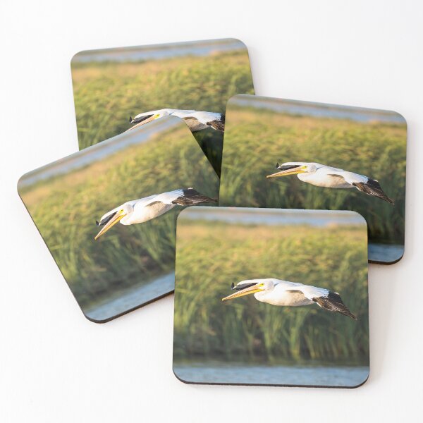 Item preview, American White Pelican Soars By designed and sold by Debra Martz.