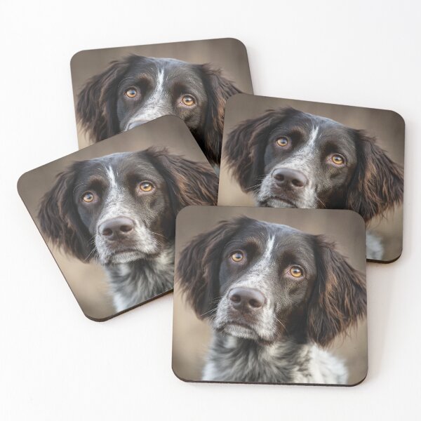 Item preview, Munsterlander designed and sold by Elisabeth Lucas.