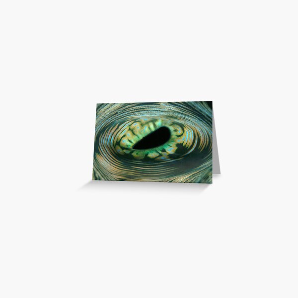 The Eye of the Reef Greeting Card